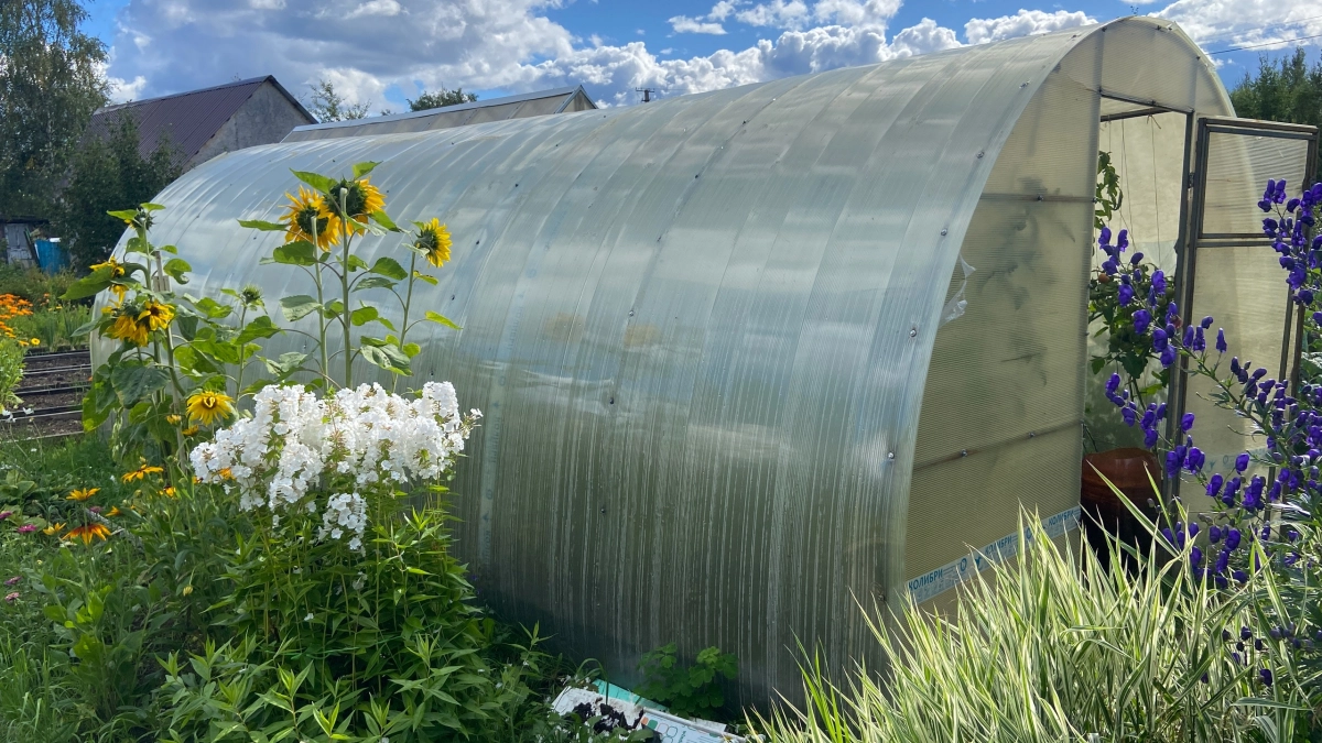 Ставлю бочку с водой в теплицу и не нарадуюсь своей смекалке, лайфхак для мудрых хозяек