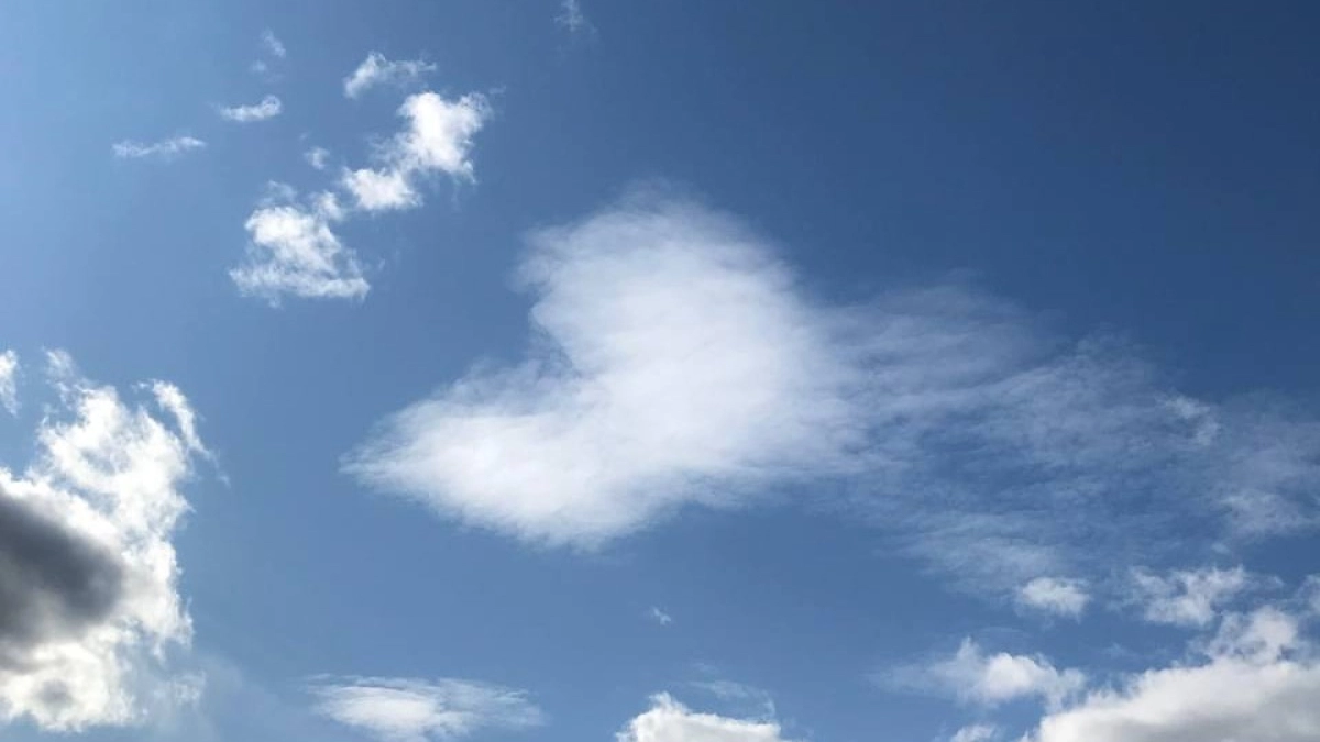 Жителей Коми ждут неожиданные связи и проверка на гибкость: гороскоп на 3 апреля