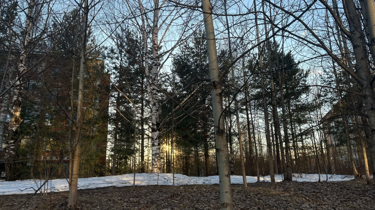 3 апреля Коми вновь разделится на зиму и весну 