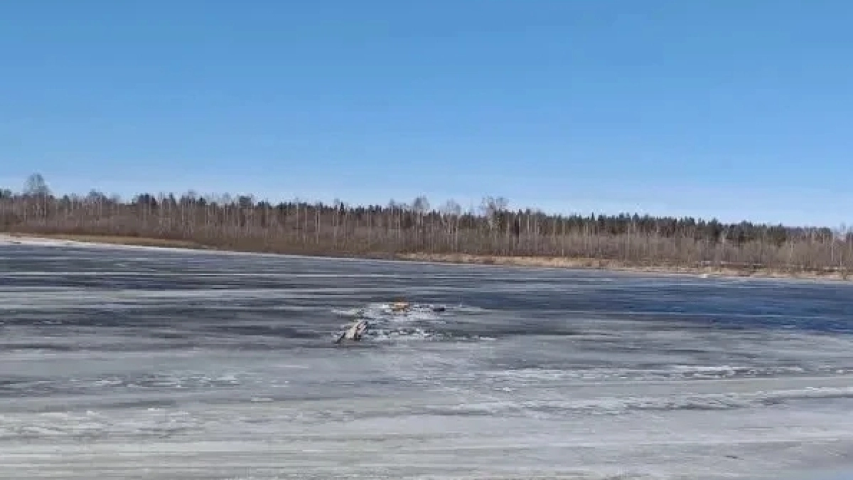 Рыбаки из Сыктывкара провалились под лёд на Вычегде: один погиб