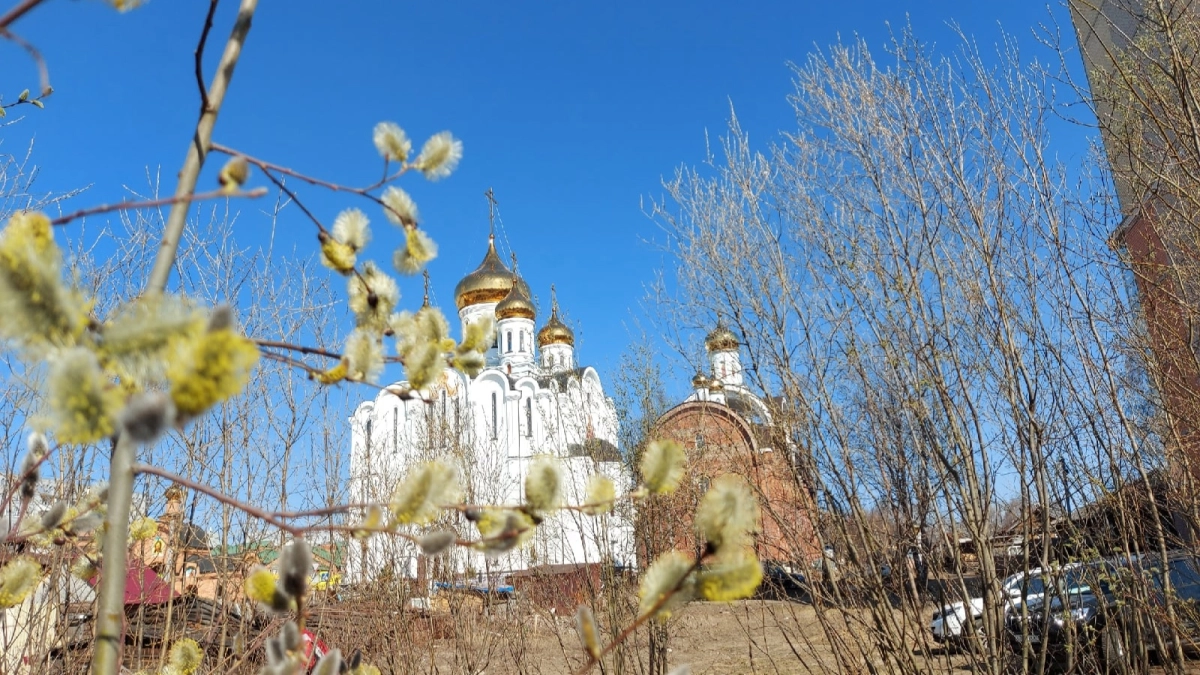 Жителям Коми объяснили, как появилась традиция посещать кладбища в Вербное воскресенье