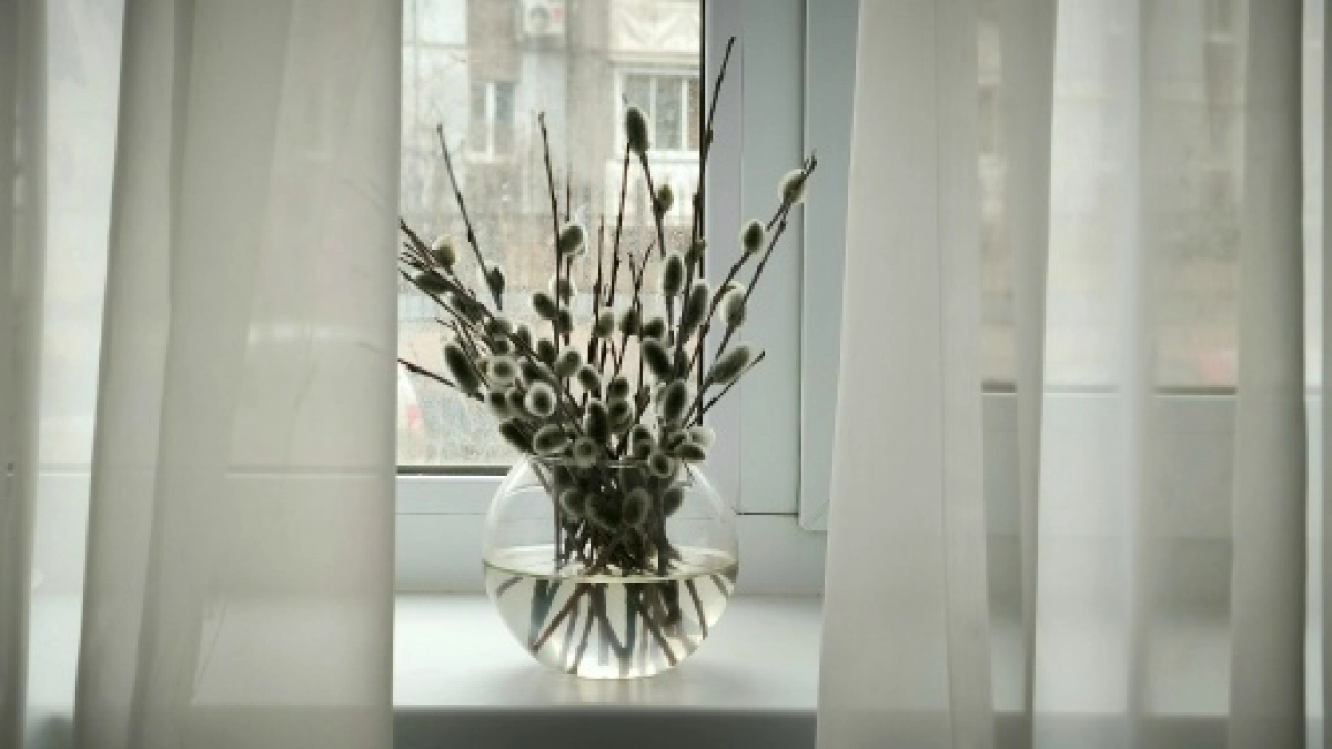 Жителям Коми рассказали, когда и зачем святить вербу