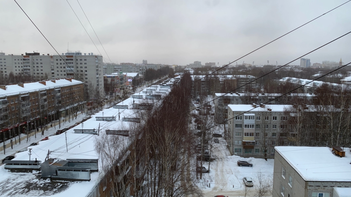 В Сыктывкаре капитально отремонтируют кровлю здания Института агробиотехнологии 