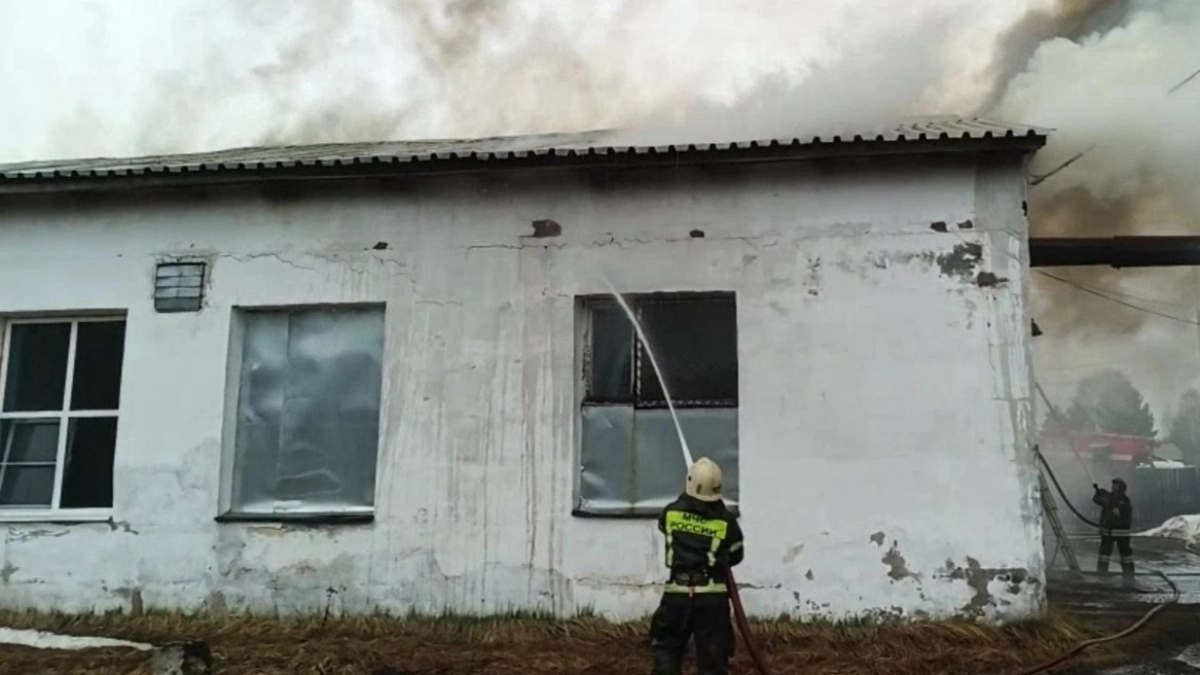 В МЧС по Коми назвали причины субботнего пожара на молокозаводе 