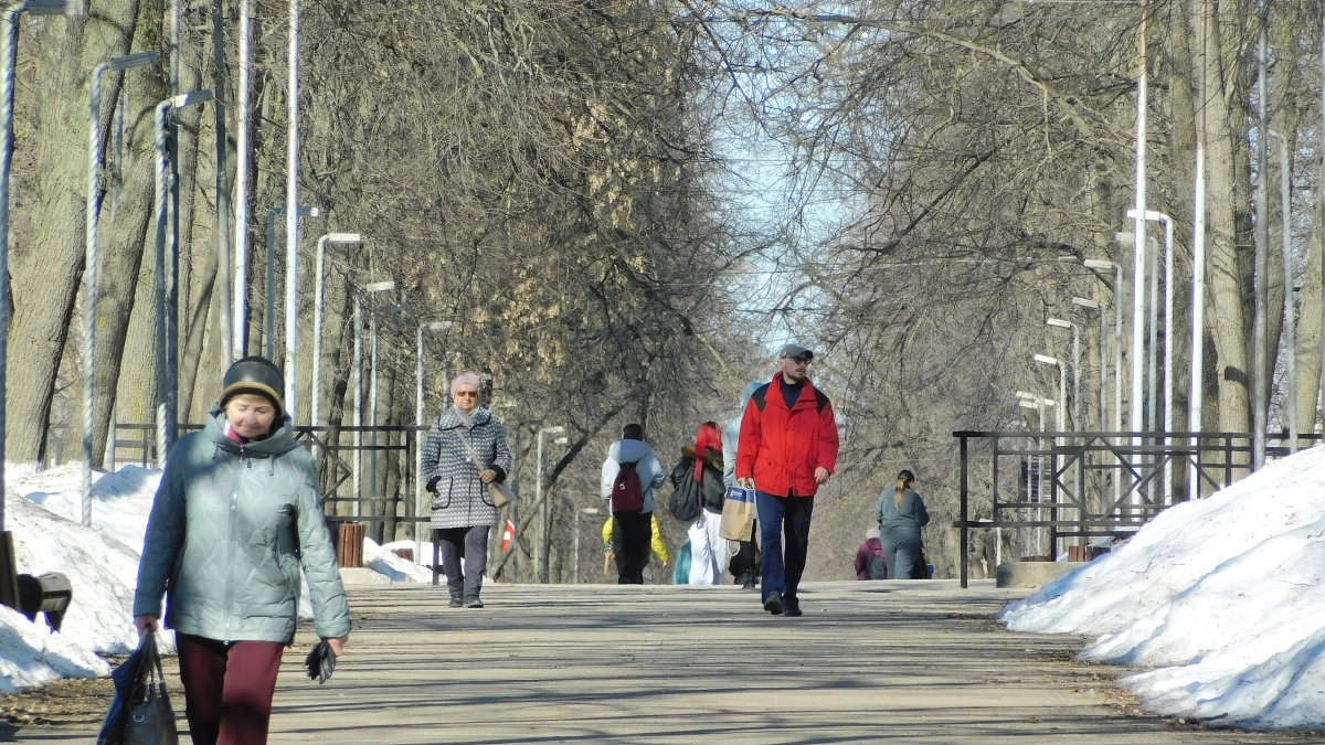 Забудьте о друзьях и родных: в старости по-настоящему нужны только эти 4 вещи