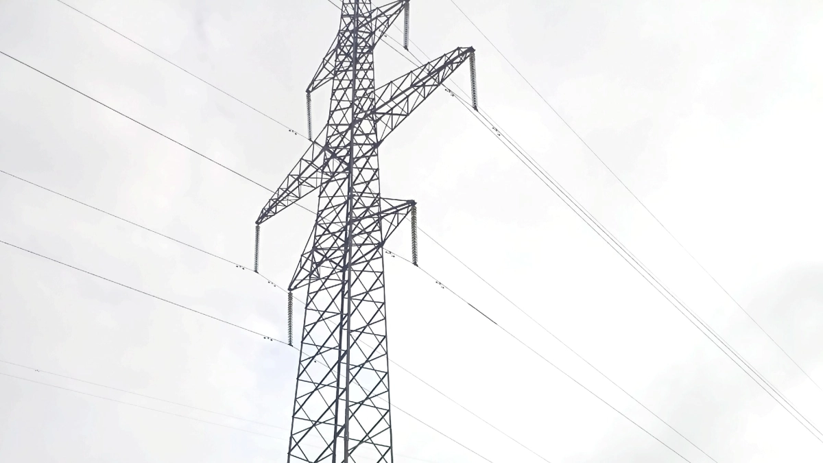 В Сыктывкаре обнаружили незаконно проложенные интернет‑кабели на электроопорах