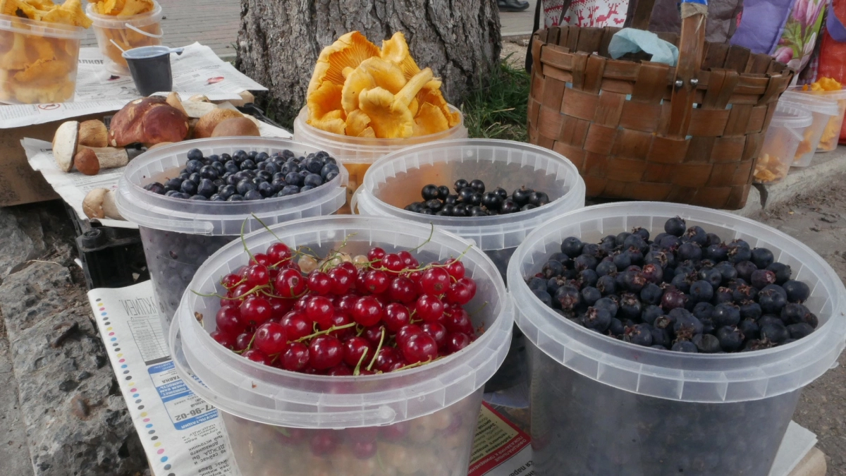 Больше не обливаю смородину кипятком, как все: есть способ лучше