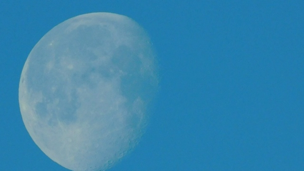 Рыбам придется довериться интуиции, а ракам –  быть осторожными с деньгами: гороскоп на 12 апреля 