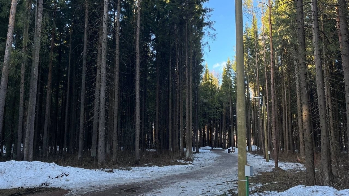 В Коми потеплеет до +15 градусов: синоптики рассказали о погоде на 12 апреля 