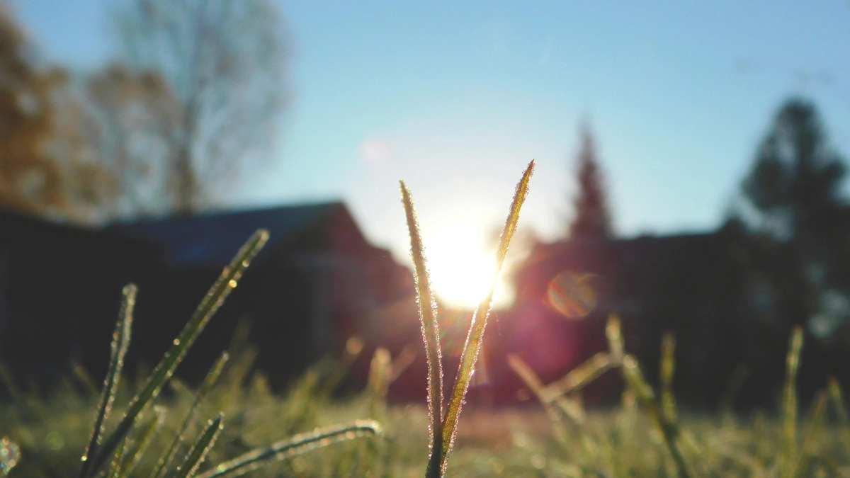 В Коми потеплеет до +17 градусов: синоптики рассказали о погоде на 13 апреля 