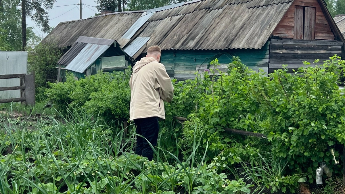 1 пузырек в бочку с водой — и поливаю все грядки: растения как на дрожжах растут, зелень сочная, цветы яркие