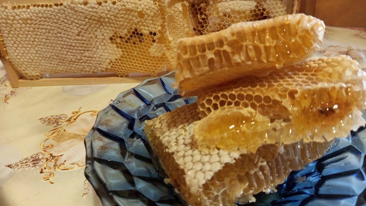 5 марок меда, которые прошли проверку Роскачества в 2026 году: смело берите