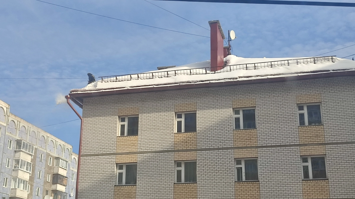 В Сыктывкаре пара занималась сексом прямо на крыше жилого дома (фото)