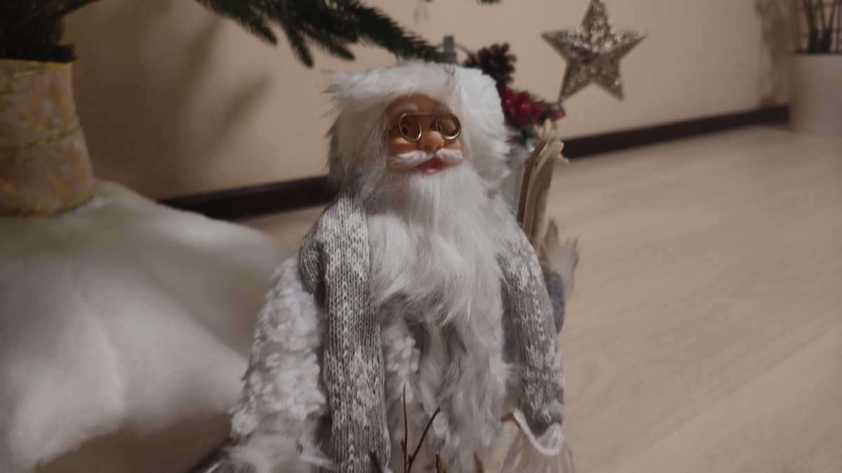 В сыктывкарском «МакДоналдсе» разгуливал голый Дед Мороз (фото)