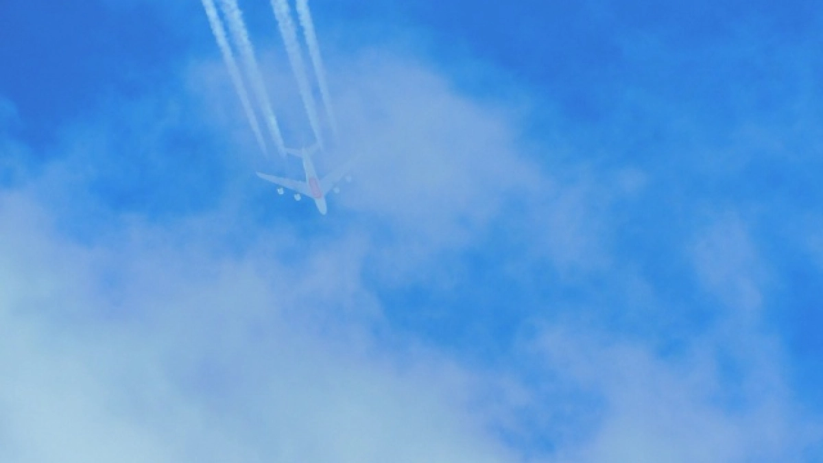 Пенсионерка из Коми добилась полной компенсации расходов на проезд к месту отдыха благодаря прокуратуре