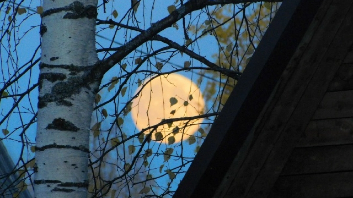 Ракам нужно довериться интуиции, а Козерогам завершить начатые проекты: гороскоп на 14 апреля