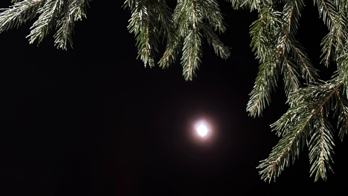 В Республике Коми резко похолодает до -17 градусов: синоптики рассказали о погоде на 17 апреля 