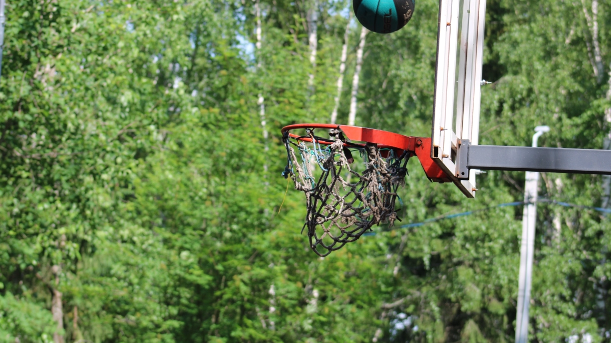 Сыктывкарцам вместо быстрого клуба власти предлагают модульный зал за 230 миллионов рублей