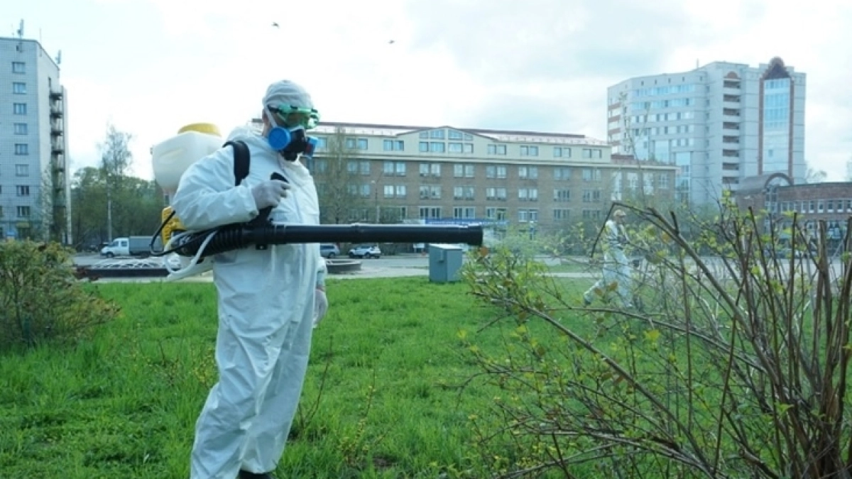 В Сыктывкаре обработку парков и скверов от клещей начнут в конце апреля