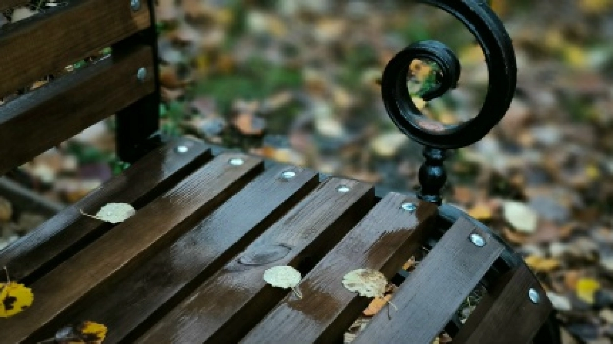 В Сыктывкаре запустили собственное производство скамеек и остановок для благоустройства