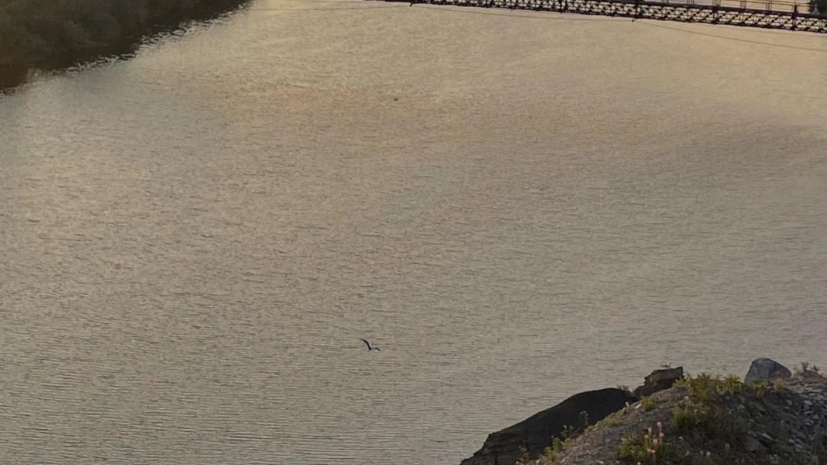 Министр Коми озвучил в Совете Федерации проблемы и решения по снабжению отрезанных поселков