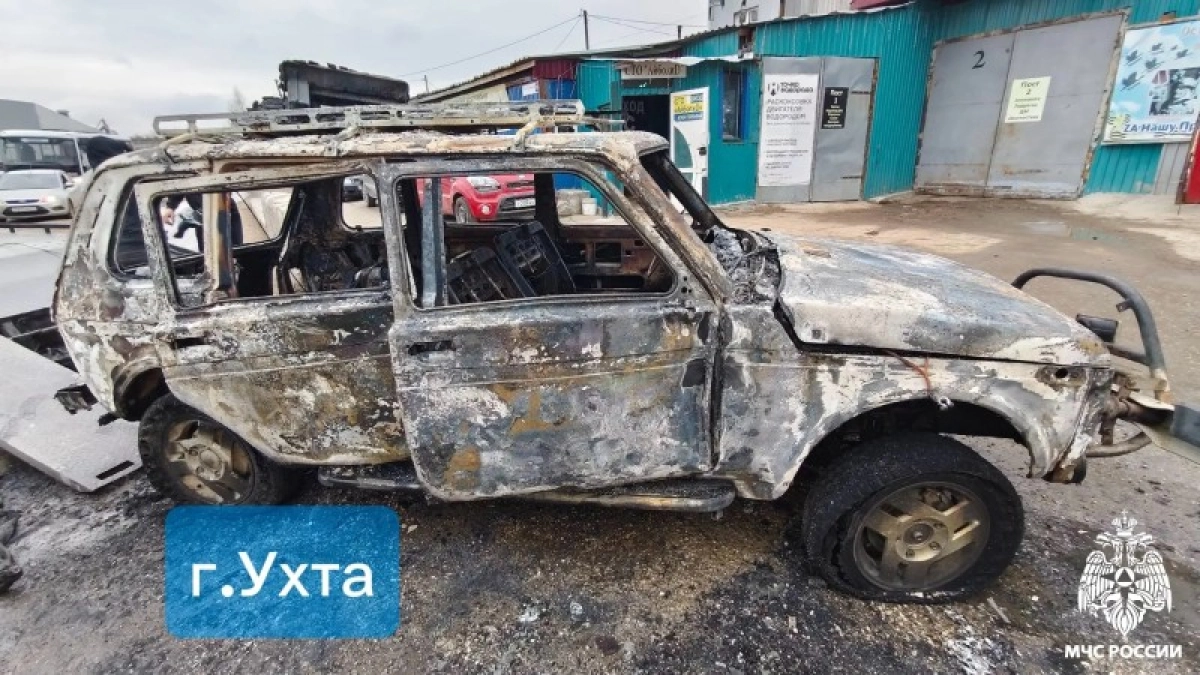 В Коми за сутки огонь уничтожил дачный дом и легковой автомобиль