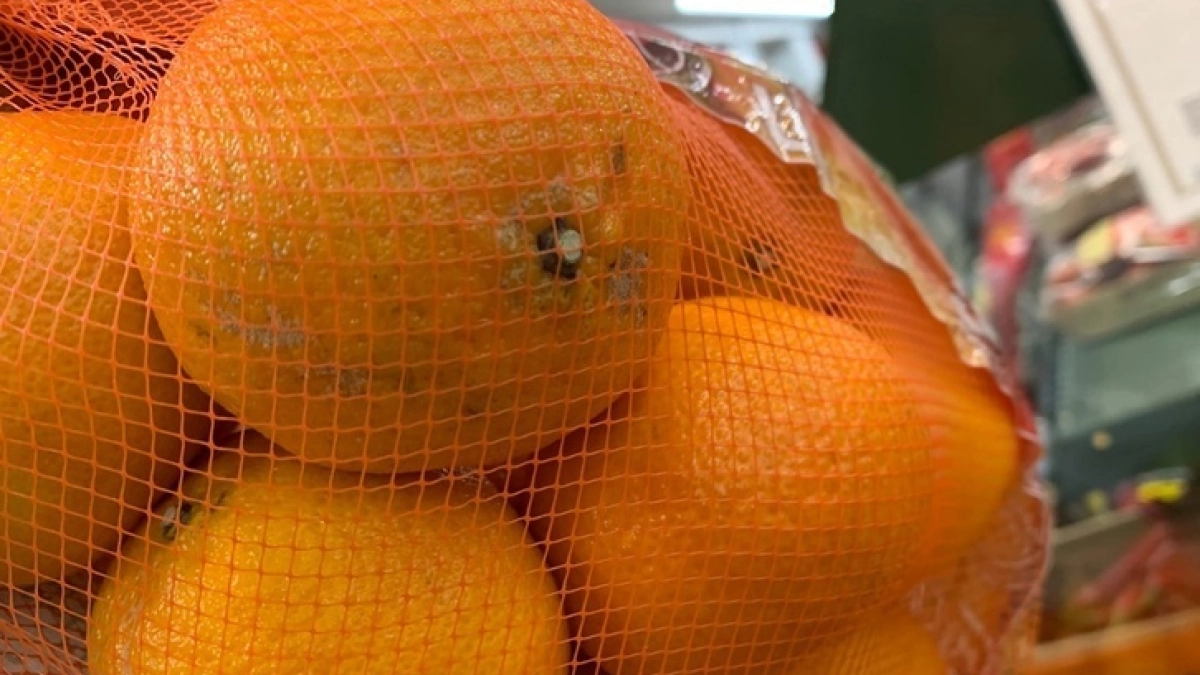 Мандариновые корки заливаю уксусом — всю весну не нарадуюсь этому хитрому трюку: рабочий лайфхак для хозяек