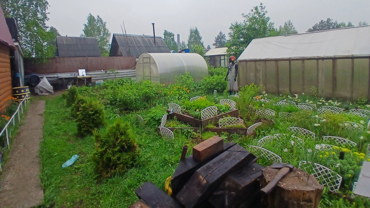 Слизни теперь обходят стороной мои грядки и клумбы: средство, которое стоит на защите дачи