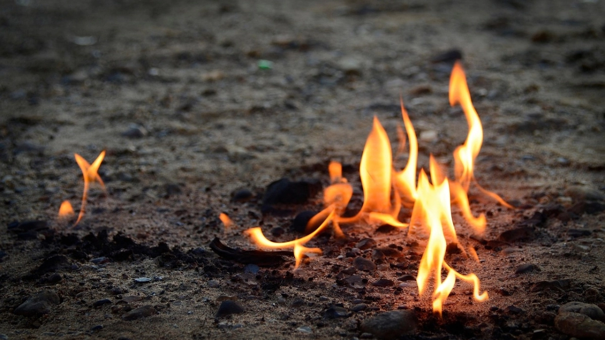 В Сыктывкаре с 10 апреля ввели штрафы за костры и мангалы 