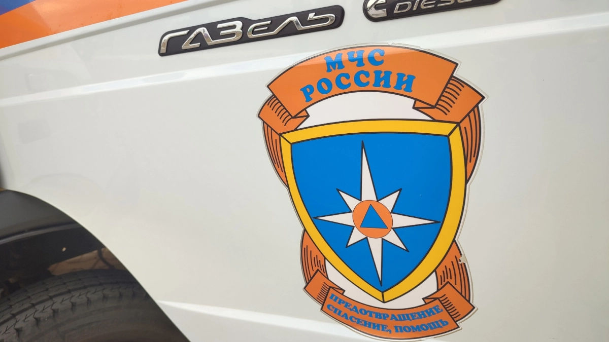 В пригороде Сыктывкара пожарные ликвидировали горение сухой растительности