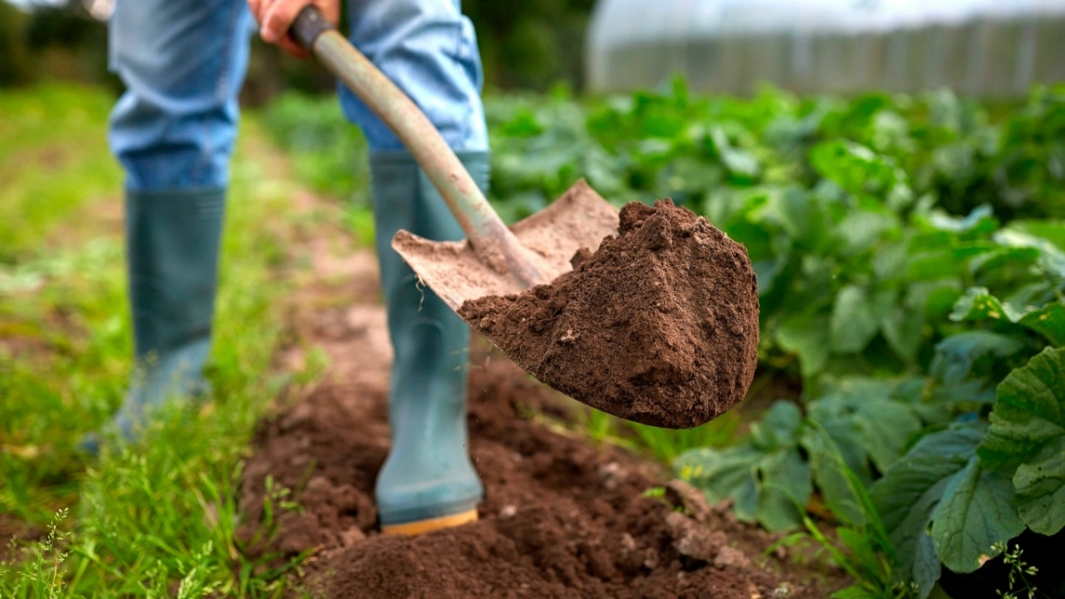 "Птицефабрика Зеленецкая" предлагает органическое удобрение для богатого урожая