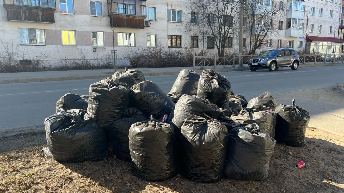 Субботник без вывоза мусора: жители Сыктывкара жалуются на свалки после уборки
