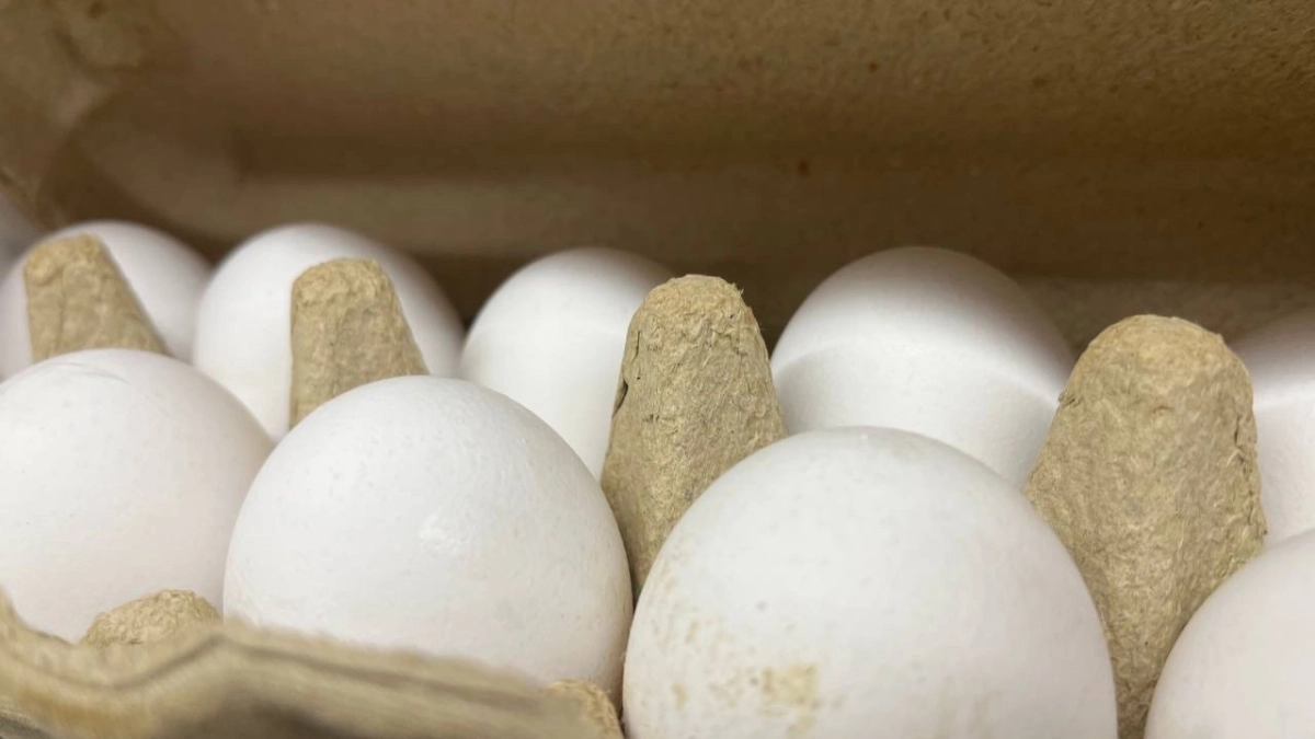 Лотки от яиц больше не выкидываю: вот как их применяю в хозяйстве — не нарадуюсь своей смекалке