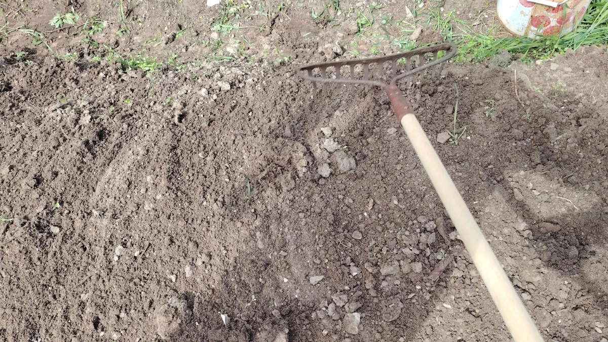 Гречку в апреле скупаю пачками — и радуюсь своей смекалке: вот как использую ее в быту. Мало кто знает эти способы