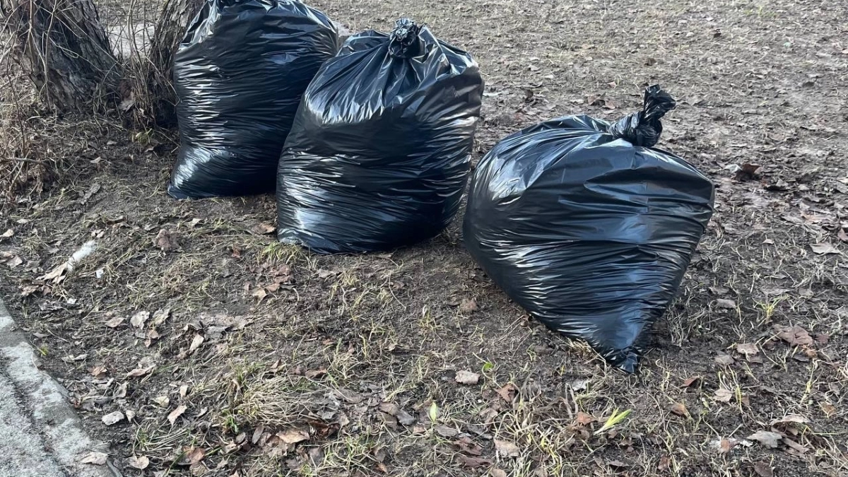 В Сыктывкаре пройдёт экологический субботник "Мы за чистоту"