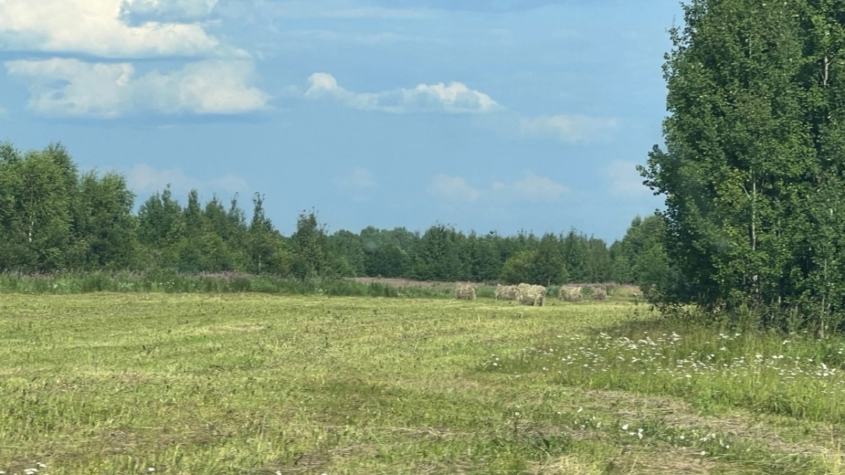 Посевная в Коми стартует на две недели раньше из-за тёплой весны