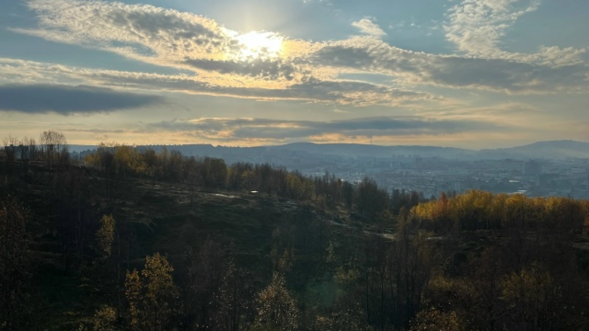В Коми снова зафиксирован случай нападения медведя на человека