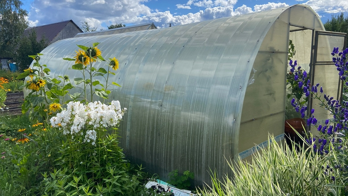 Теплица из поликарбоната больше не в моде: ей придумали более долговечную замену без трещин, пыли и потёков грязи