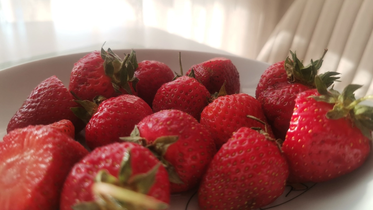 Рассыпаю порошок в апреле - клубники в 3 раза больше, вредителей нет до сентября