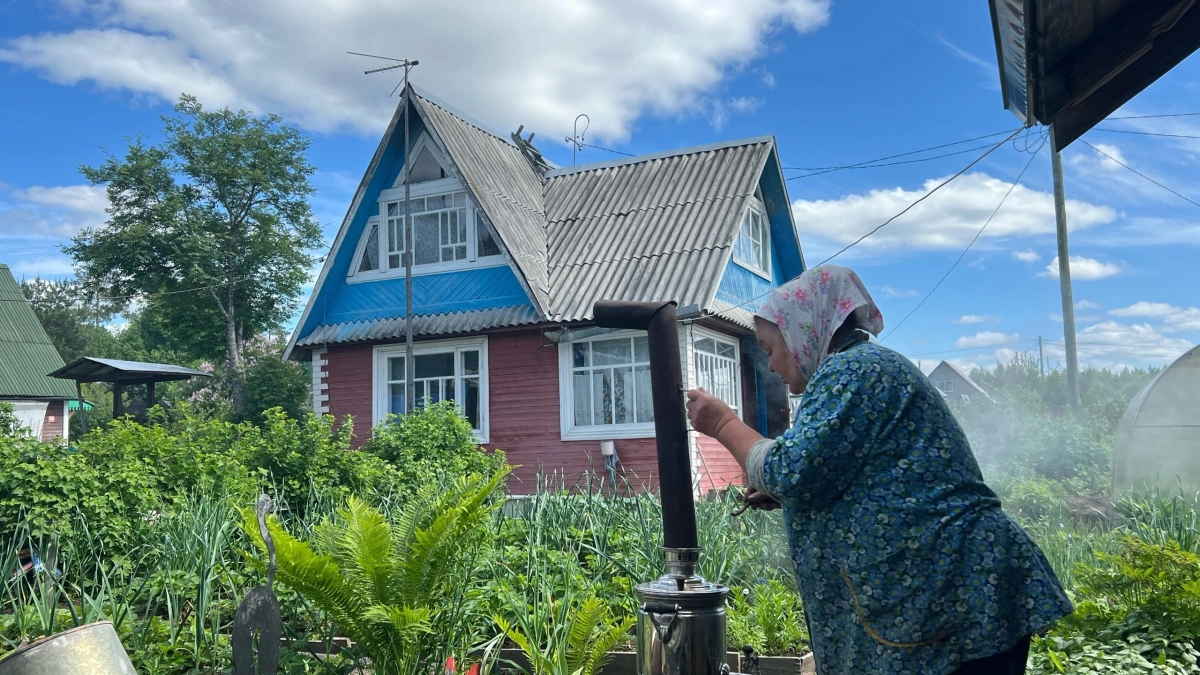 Не просто пепел, а спасение: роковые ошибки и правильная подкормка для ягодных кустарников и плодовых деревьев