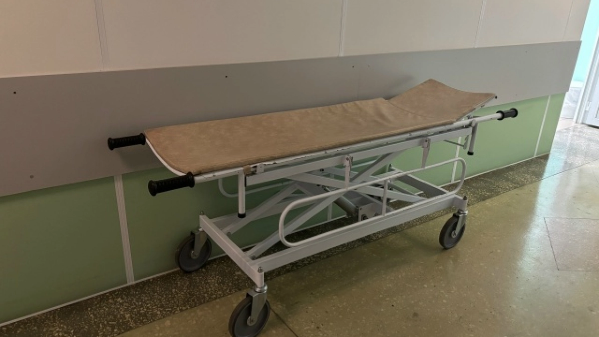 Владимир Путин поручил внедрить технологии искусственного интеллекта в медицинскую практику