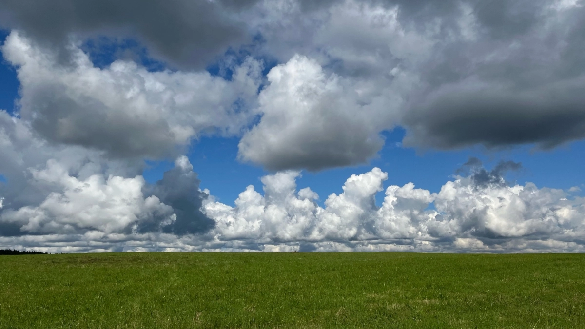 Скорпионам — новые возможности, Тельцам — гармония в общении: гороскоп на 27 апреля