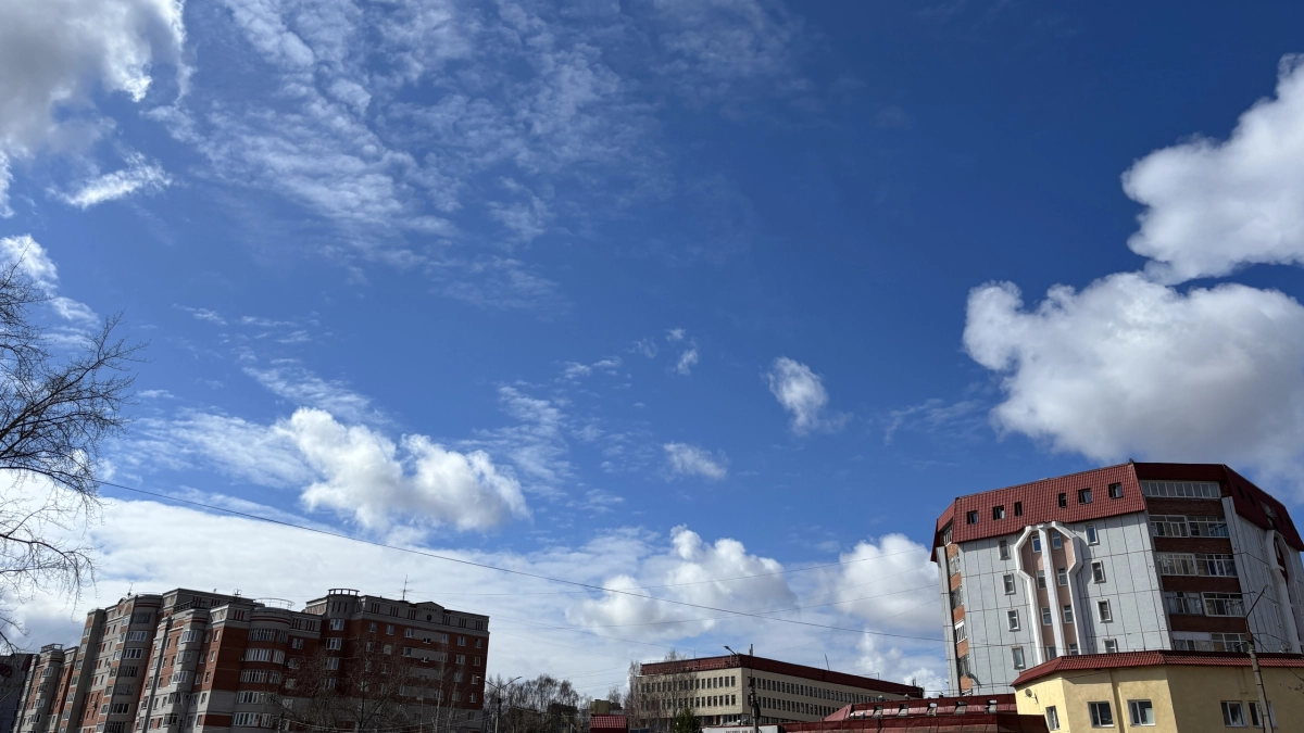 В Республике Коми потеплеет до +14 градусов: синоптики рассказали о погоде на 27 апреля