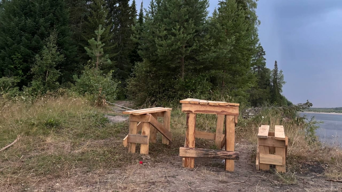 Наносим 2 капли масла на одежду от клещей: защитят на весь день — безопасно для детей