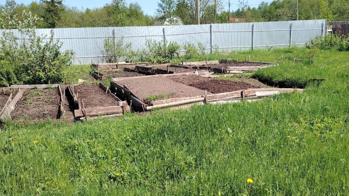 Смешайте это в пропорции 1:5 — и сорняки выгорят сами: чистые грядки без прополки до самой осени