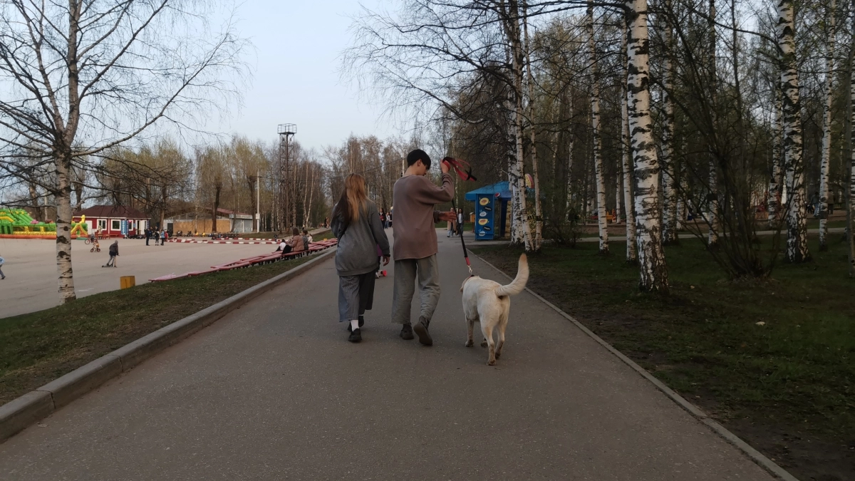 Половина жителей Сыктывкара останется дома на майские праздники 