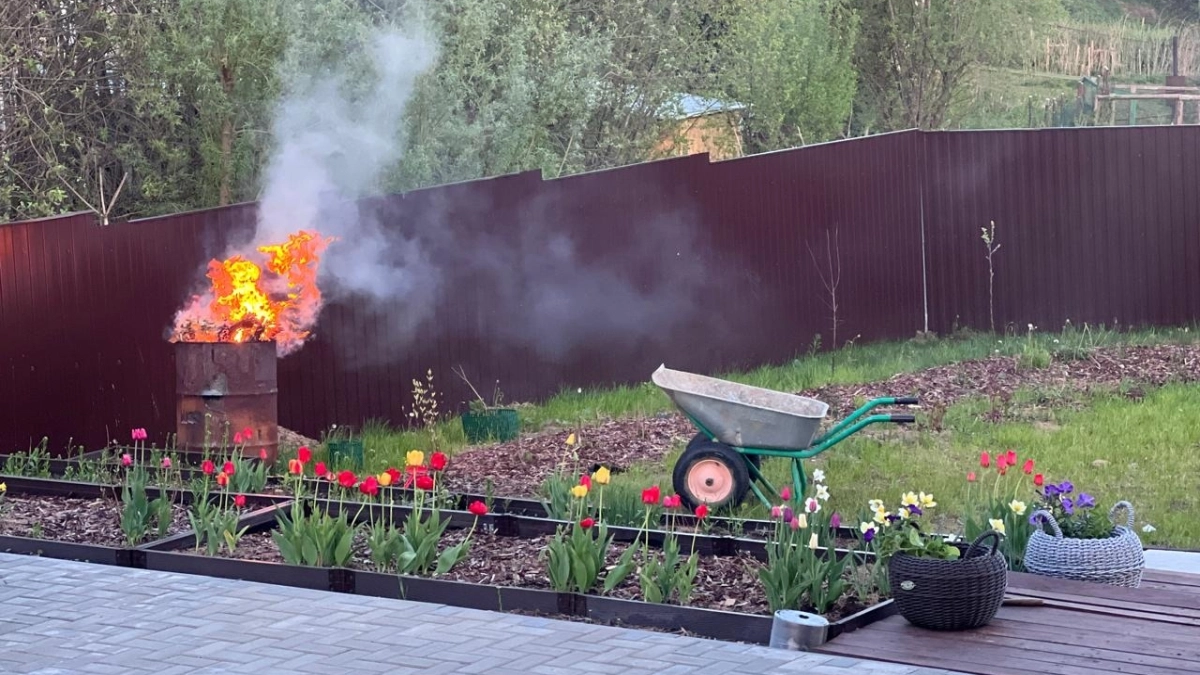 Клубника в апреле: 4 шага к крупной ягоде в июне — уборка, полив, подкормка по порядку