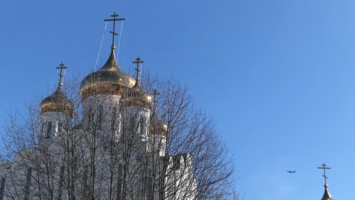 В Коми потеплеет до +20 градусов: синоптики рассказали о погоде на 6 мая 