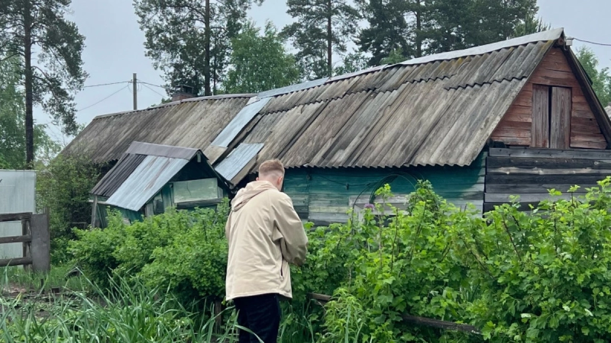 Полено для малины: мои кусты не разрастаются по всему участку, а урожай собираю ведрами