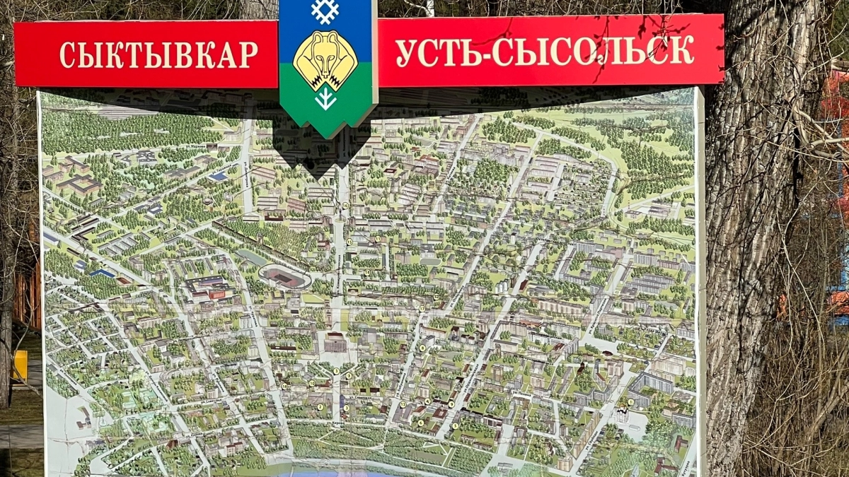 В Сыктывкаре горожан с неучтенным имуществом выводят из "тени"